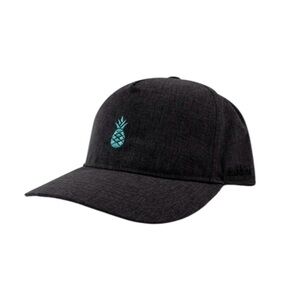 NEW Chubbies The Teal Pineapple Performance Hat Gray Snapback Hat